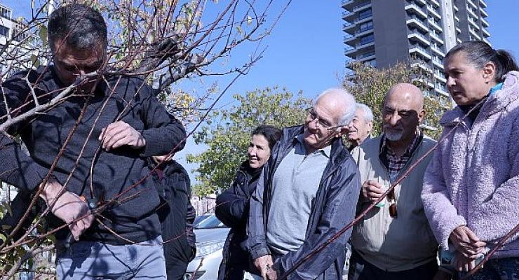 Kent Tarım’da Budama Eğitimi