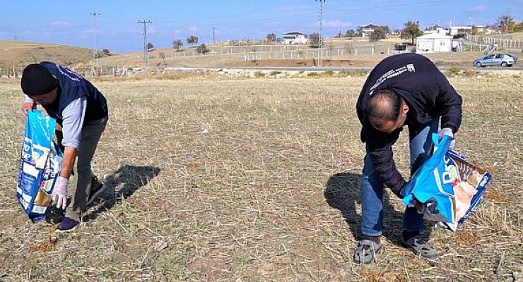 Sosyal Medyada Gündem Olan Tilki İçin Doğal Yaşam Alanına Yiyecek Bırakıldı