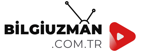 Bilgiuzman