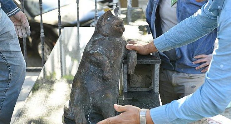 Kadıköy’ün Kedisi Tombili Yuvasına Döndü