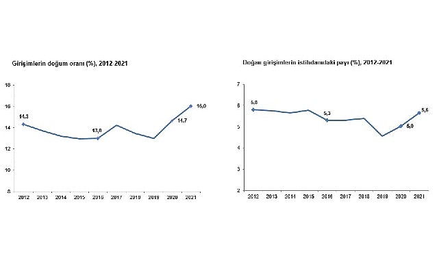 TÜİK: Girişimlerin 2021 yılında doğum oranı %16,0 oldu