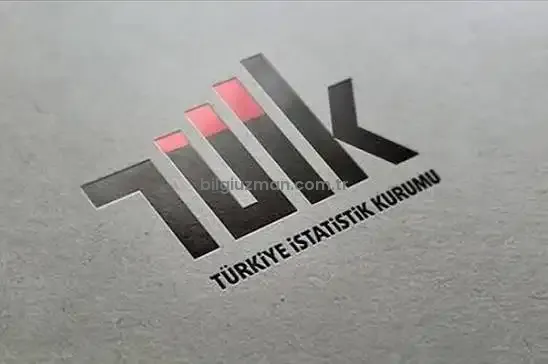 Türkiye’nin 2025 Yılı Kurumsal İstatistik Raporu